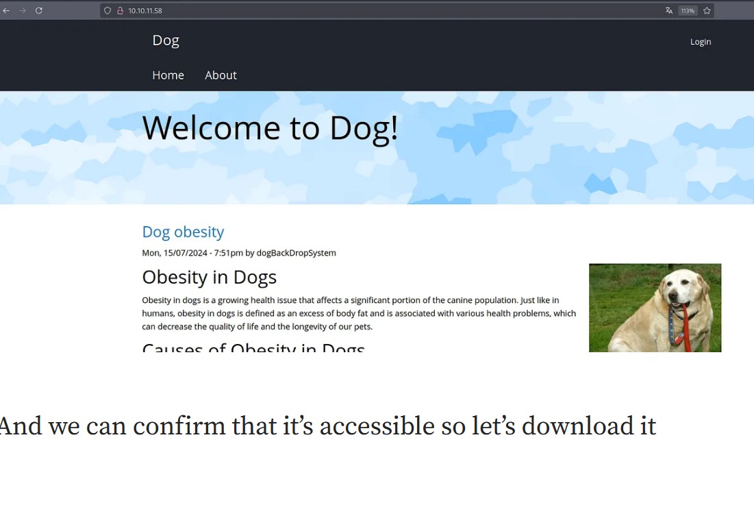 Screenshot of the Dog website homepage